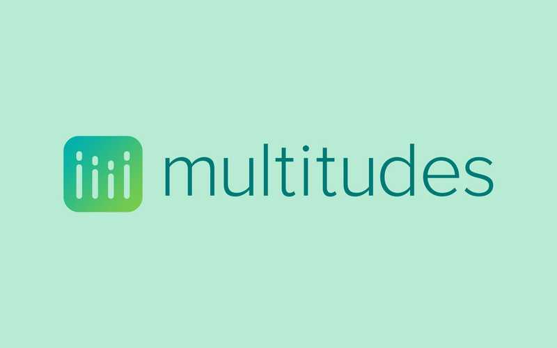 Investment Flashback - Multitudes